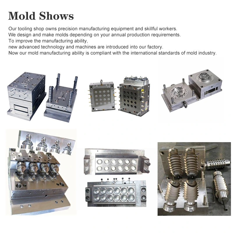 Injection Mold and Molding for Charging Socket / Recharge Socket